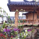 하늘땅민박 이미지