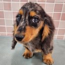 오픈주 하남스타필드점 이미지