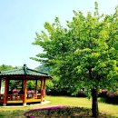 모곡계곡펜션 이미지