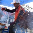 가조 힐링랜드 이미지