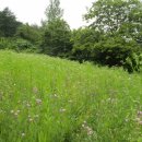 숲속농장 이미지