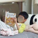 문해력이 자라는 책읽기 이미지