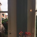 로즈하우스민박 이미지