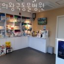 동물의왕국 동물병원 이미지