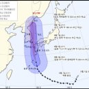 하이선 한국경제