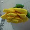 지디파크 이미지