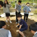 아산테크노중학교 이미지