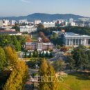 (주)네바퀴자동차 이미지