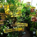 야채시장 이미지