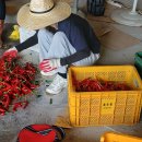 석인1리 이미지