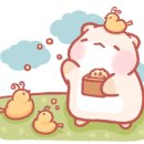 시립일가어린이집 네이버블로그