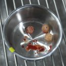 동서울동물병원 이미지