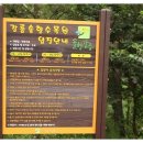 강릉솔향도시락 이미지