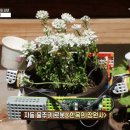 로보티즈코딩학원