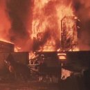 도대농장 이미지