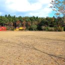 황방산 야영장 이미지