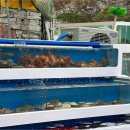 제일횟집 이미지