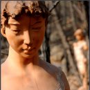 정령의숲 이미지