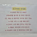 도그마캣용인