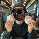 (주)지알아이 | 24.03.15-24.03.07 후쿠오카로 떠나요