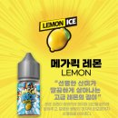 동송전자