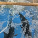 남경수산 | 구미 형곡동 남경수산 후기｜가성비 회포장 전문점 모둠회 2만원대 실화?