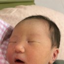 창원파티마병원 산부인과 37주차 횡아 응급 제왕절개 출산후기 (출산 후 넷째날~퇴원)