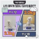 부산애견호텔 강아지 유치원 맘바이 서면본점 | 부산강아지호텔 추천/부산애견호텔 강아지유치원 맘바이 서면본점으로~~