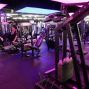 백암탕 | 30대 갓생러의 포항헬스장 위그짐 솔직후기, 체성분분석부터 스웨덴기구까지