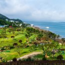 사천상회 이미지