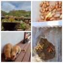 [주간메일 327] 봄을 씹어 먹어.. 이미지