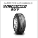 애니카랜드 희망점 이미지