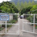 돌배나무 민박 이미지