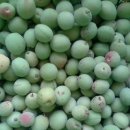 섭이농장 이미지