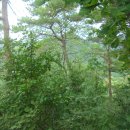 영곡마을 이미지