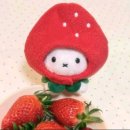 남남수학원 이미지