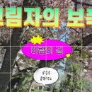 보폭 - 10224 | 보폭
