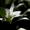 카페213(CAFE213) 이미지