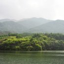 장수송학골로2 헤럴드경제