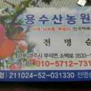 명순이네 이미지