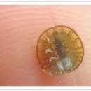 진교초등학교 이미지