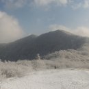 1월 정기산행 평창군 계방산 갑니다. (1월6일 ) 이미지