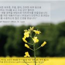닥터Q화장품