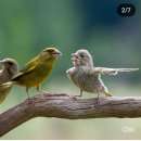 청림동-11 이미지