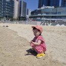 부산첫회 | 부산 해운대 블루라인파크 해변열차 두돌 아기랑 탑승 후기, 미포-청사포 왕복 투어