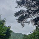 교신경로당 티스토리