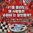 F1을 몰라도 왜 사람들은 슈마허는 알았을까? 이미지