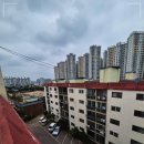 성내천로 이미지