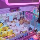 루피 인형뽑기방 이미지