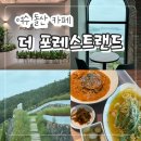 편백숲마을 더포레스트 | (광고x)여수 돌산 대형 카페 추천! &#34;더 포레스트랜드&#34; 오션뷰 맛집 애견동반 테라스 정원 카페